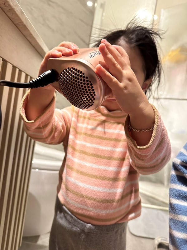 試用